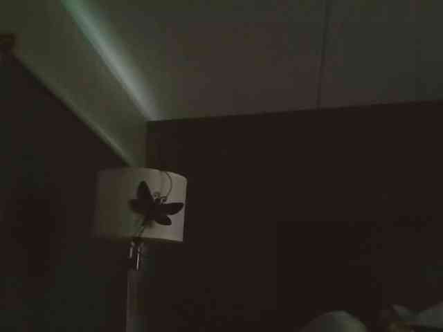 Adelaideskyy webcam