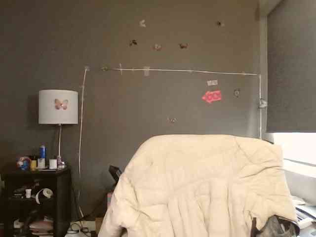 Adelaideskyy webcam