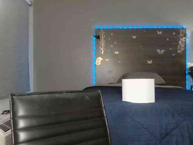 Adelaideskyy webcam