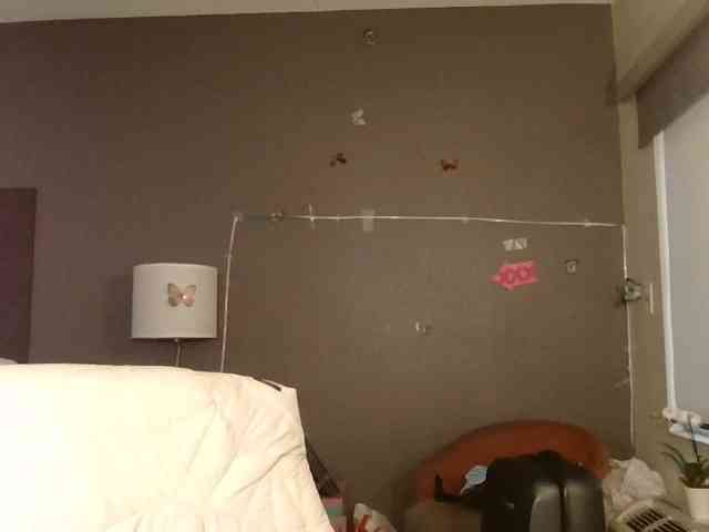 Adelaideskyy webcam