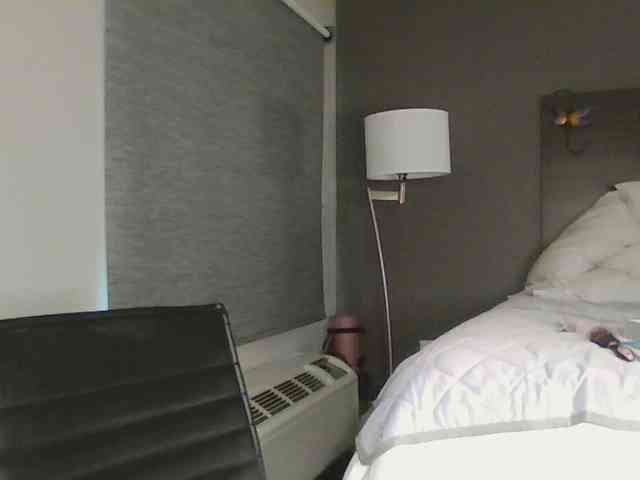 Adelaideskyy webcam