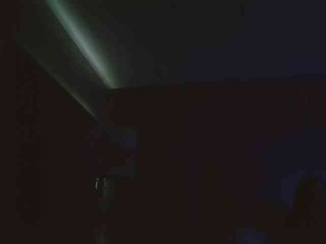 Adelaideskyy webcam