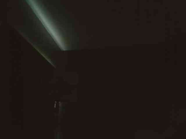 Adelaideskyy webcam
