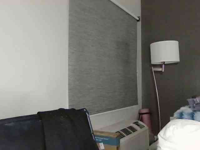 Adelaideskyy webcam