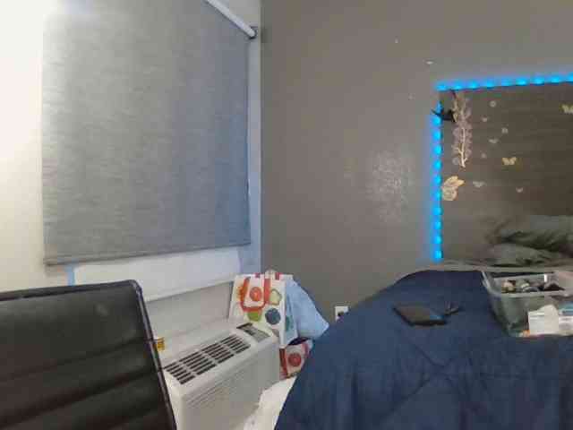Adelaideskyy webcam