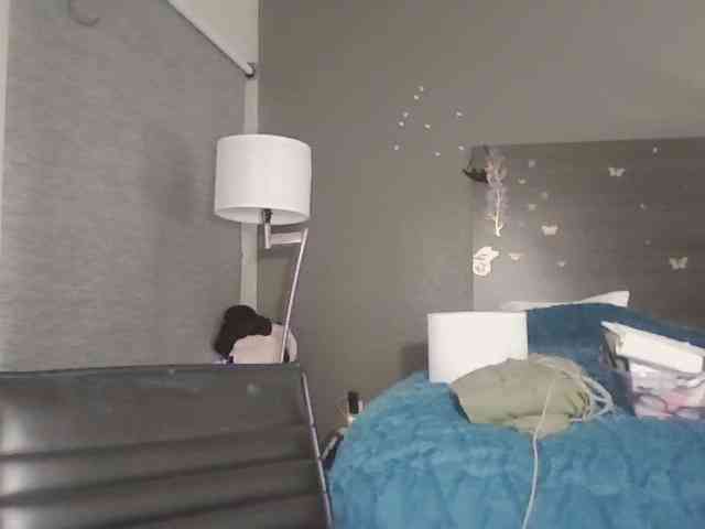Adelaideskyy webcam
