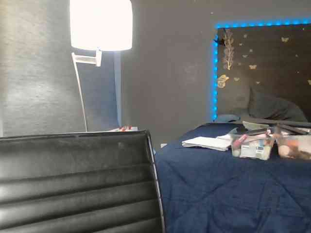 Adelaideskyy webcam