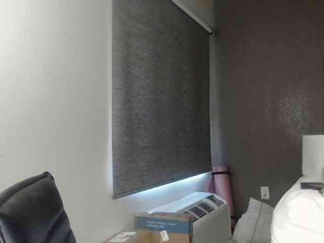 Adelaideskyy webcam