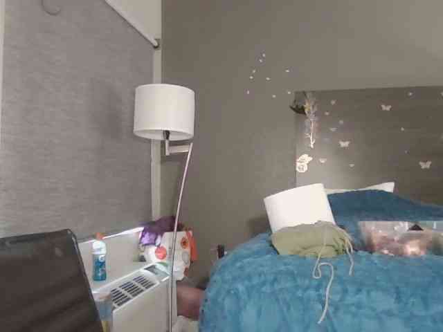 Adelaideskyy webcam