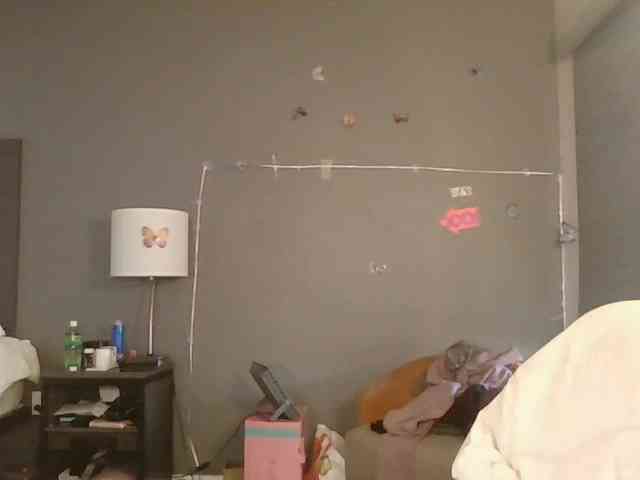 Adelaideskyy webcam