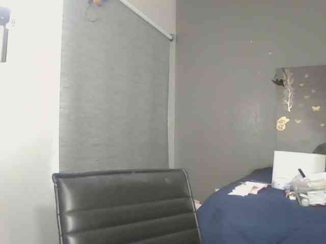 Adelaideskyy webcam