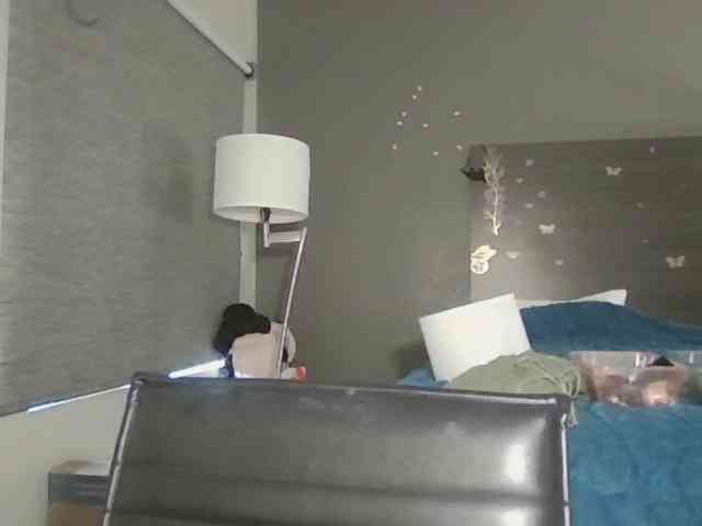 Adelaideskyy webcam