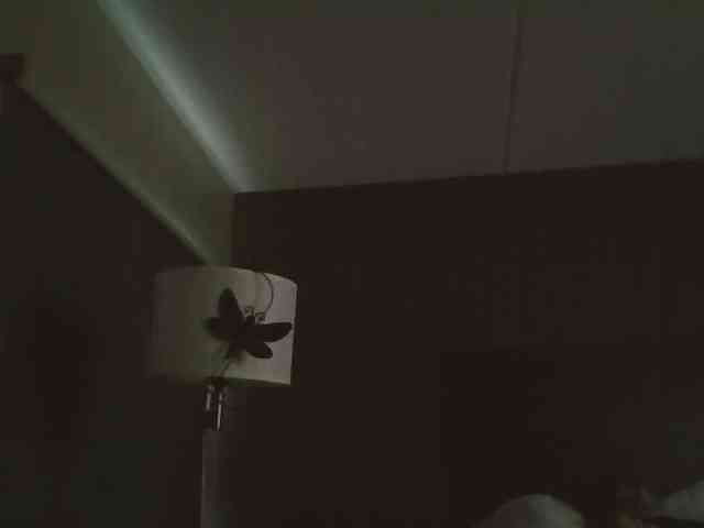 Adelaideskyy webcam
