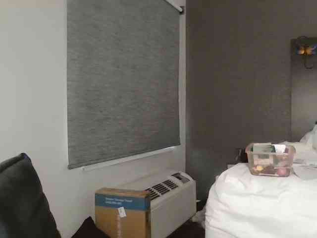 Adelaideskyy webcam