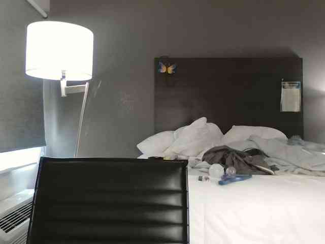 Adelaideskyy webcam