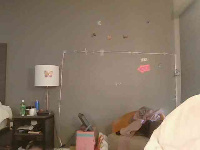 Adelaideskyy webcam