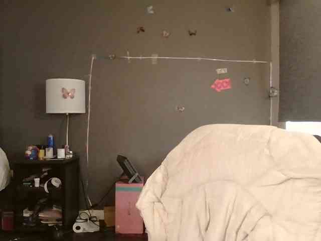 Adelaideskyy webcam