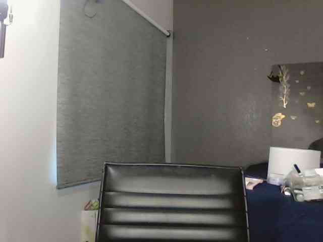 Adelaideskyy webcam