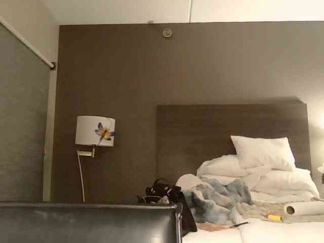 Adelaideskyy webcam