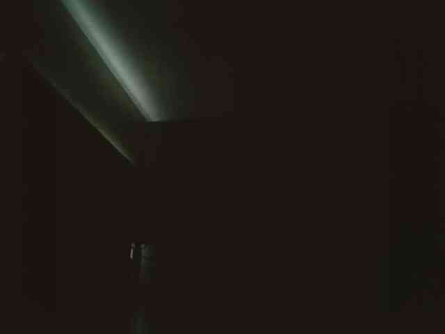 Adelaideskyy webcam
