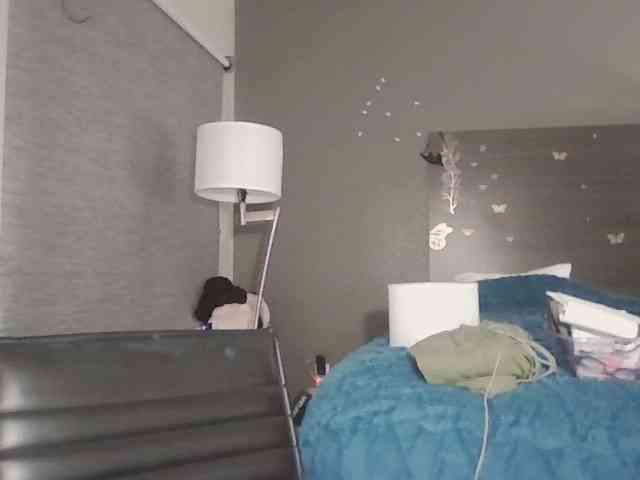 Adelaideskyy webcam