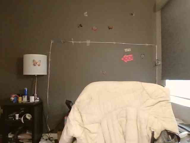 Adelaideskyy webcam