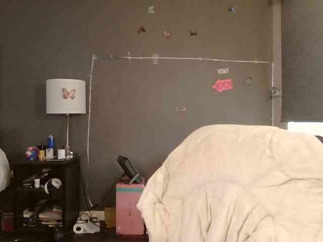 Adelaideskyy webcam