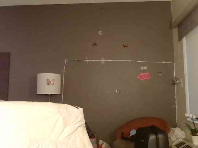 Adelaideskyy webcam