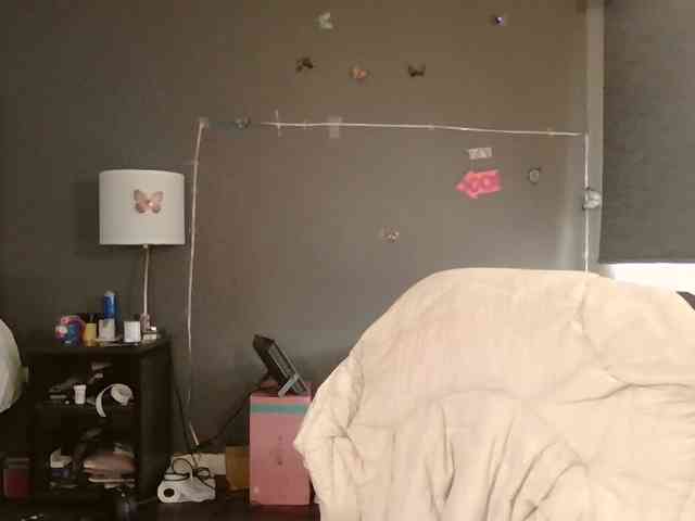 Adelaideskyy webcam