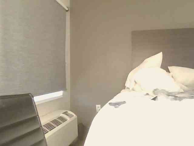 Adelaideskyy webcam