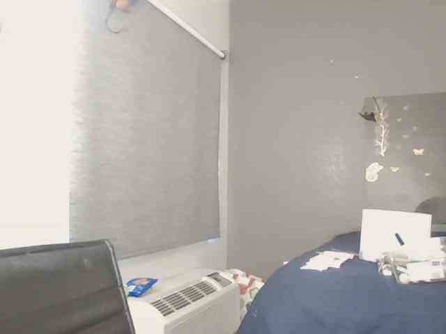 Adelaideskyy webcam