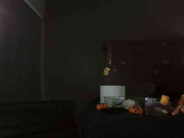 Adelaideskyy webcam