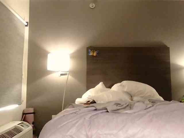 Adelaideskyy webcam