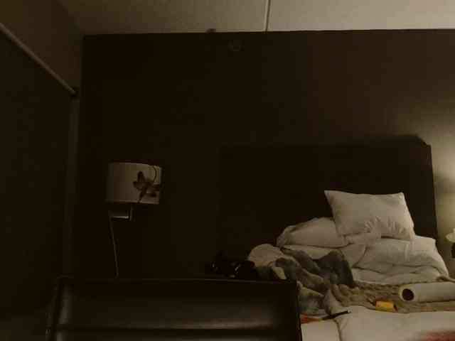 Adelaideskyy webcam
