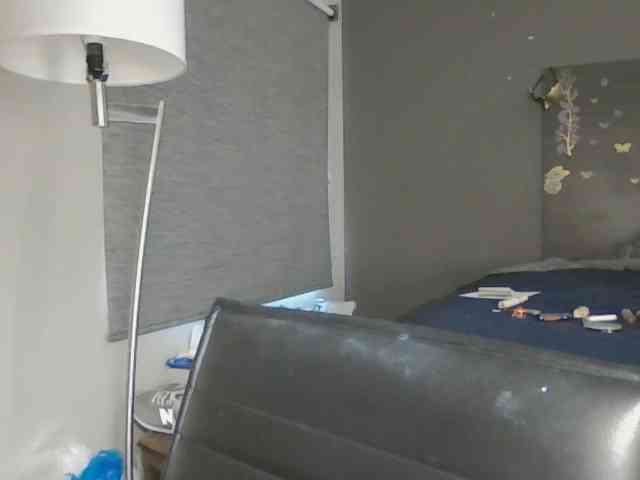 Adelaideskyy webcam