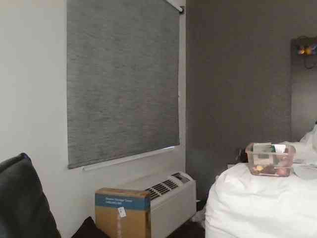 Adelaideskyy webcam