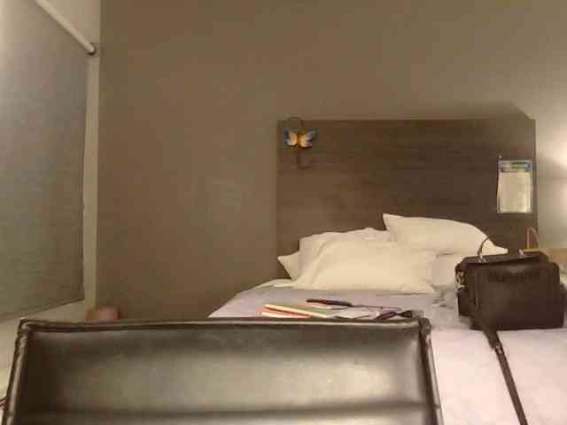 Adelaideskyy webcam