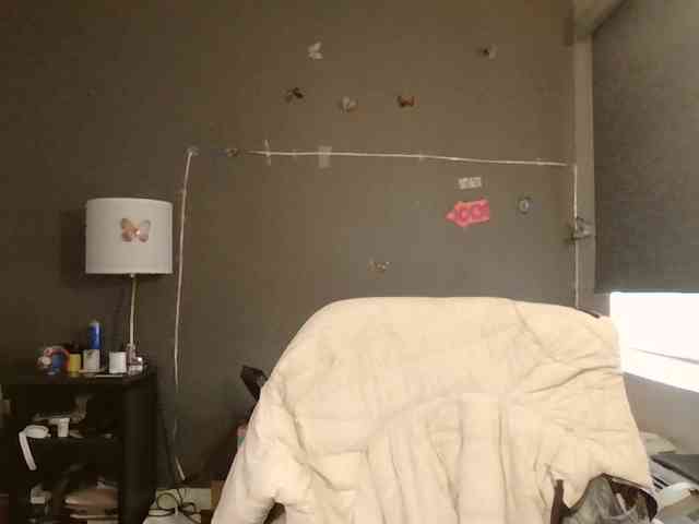 Adelaideskyy webcam