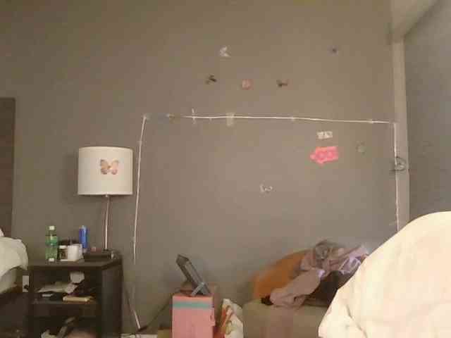 Adelaideskyy webcam