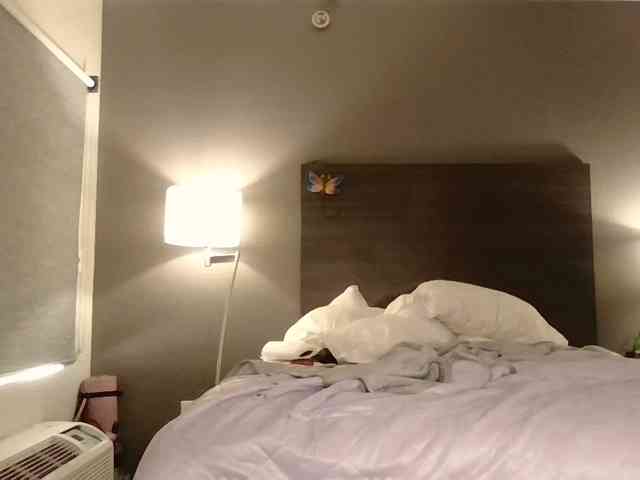 Adelaideskyy webcam