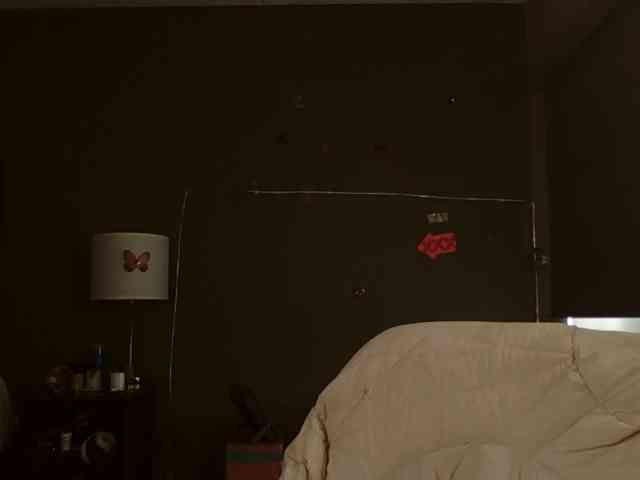 Adelaideskyy webcam
