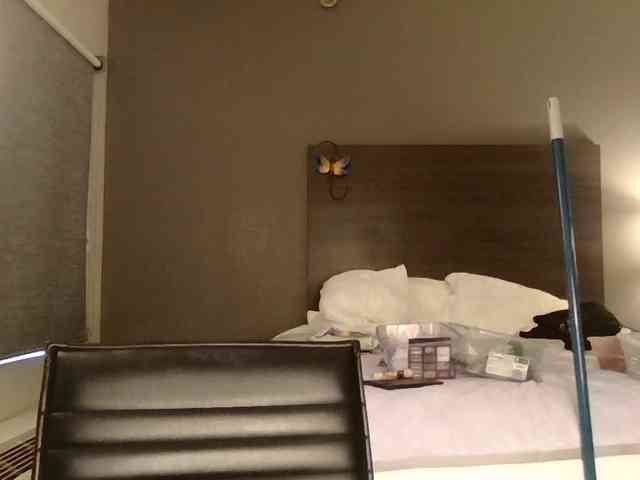 Adelaideskyy webcam