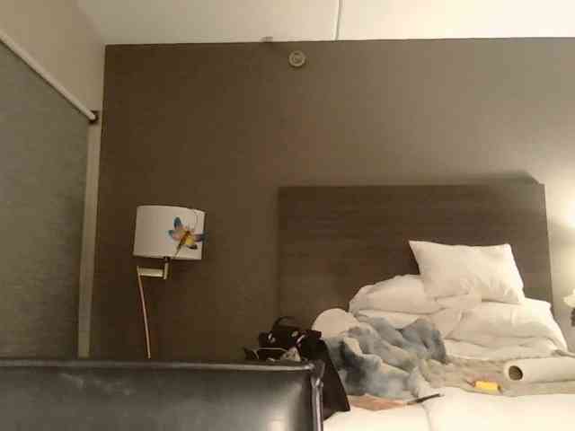 Adelaideskyy webcam