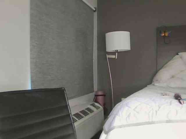 Adelaideskyy webcam
