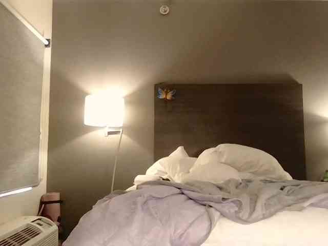 Adelaideskyy webcam