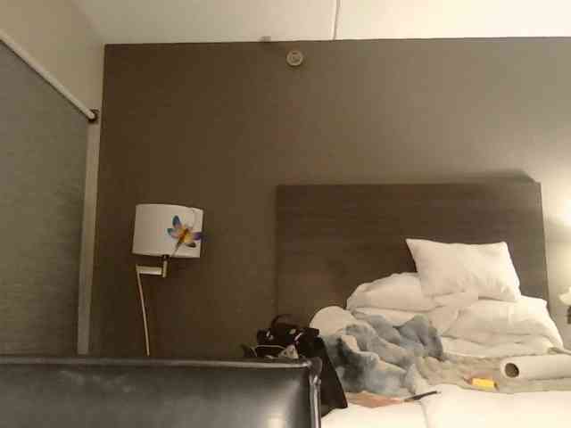 Adelaideskyy webcam