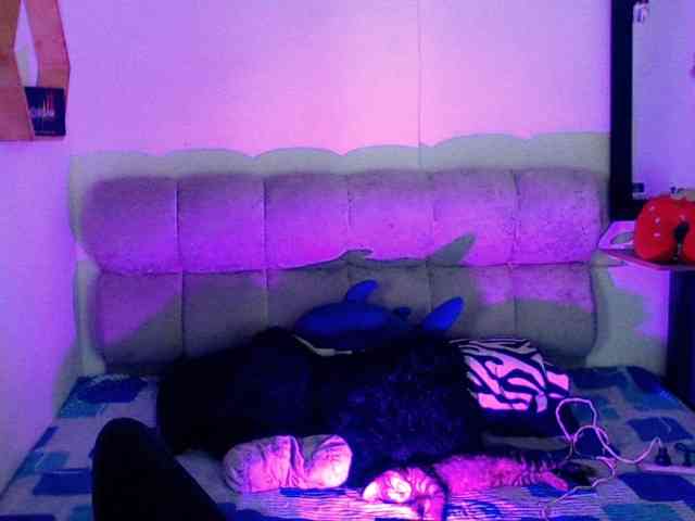 ShadaysMistress