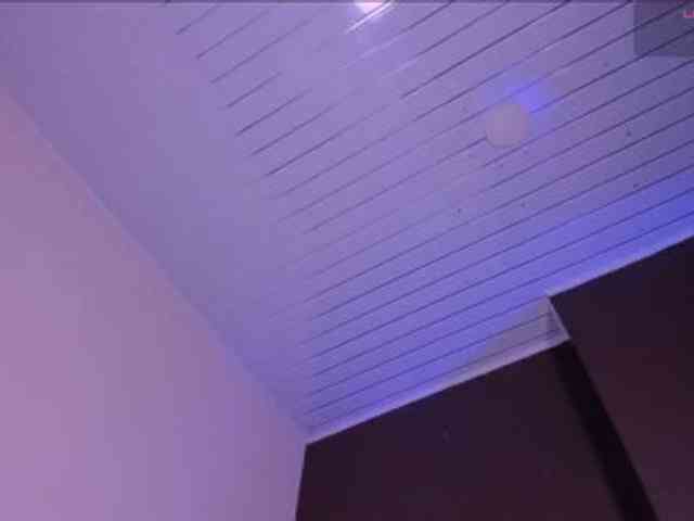Abby-03 webcam