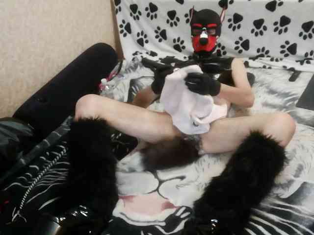 PupMax69