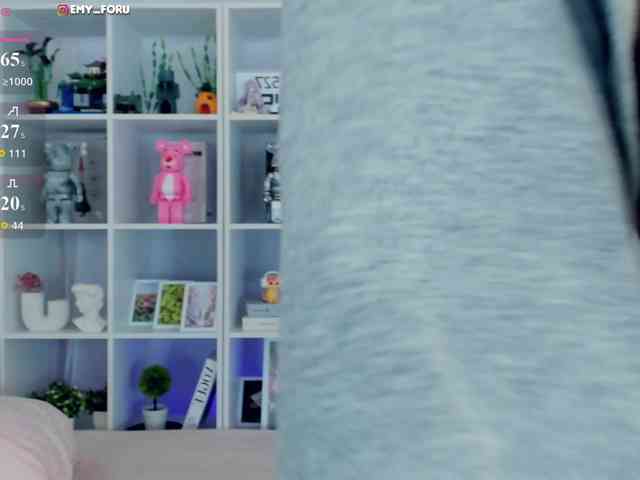 Emyforu webcam